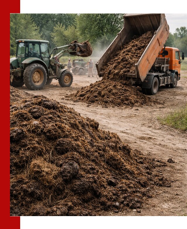 Доставка навоза самосвалами в Луховицах для сельхозпотребностей